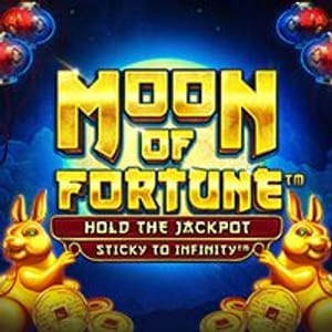 Moon Of Fortune™ game cover